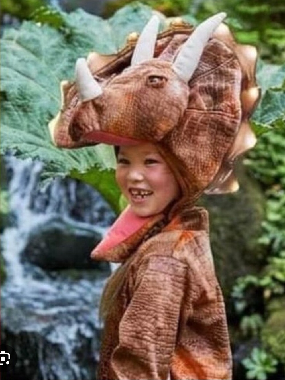 Pottery Barn Kids Brown Triceratops Dinosaur Costume with Cream Horns